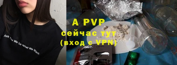 спайс Михайлов