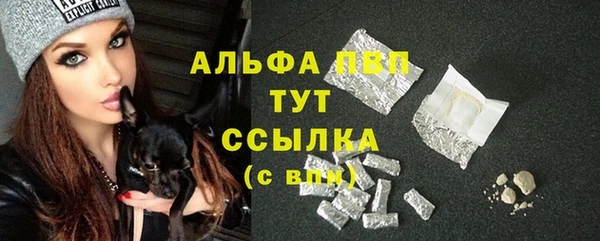 спайс Михайлов